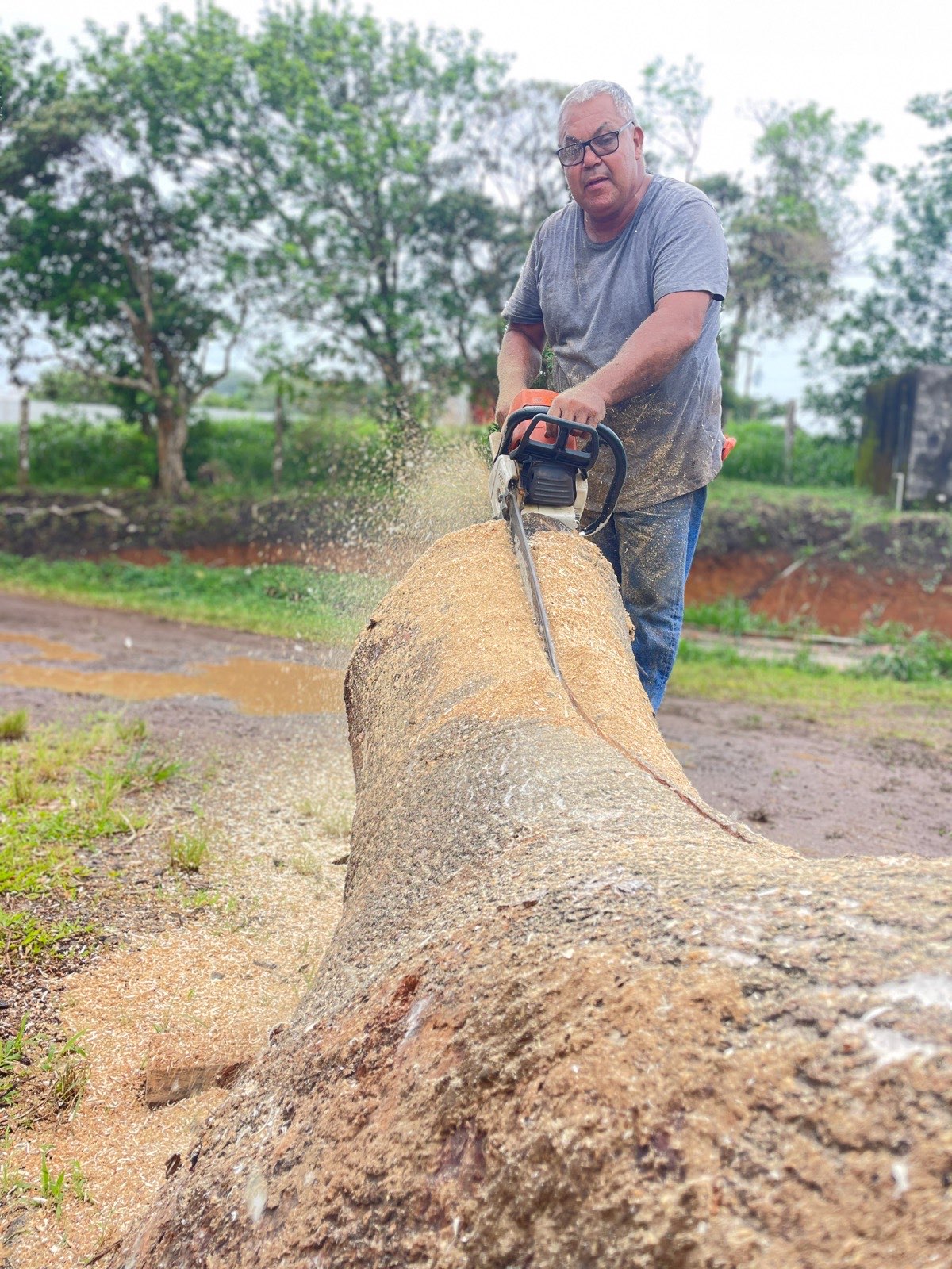 A Guanacaste log being milled by chainsaw — the raw material for the Rib Bench