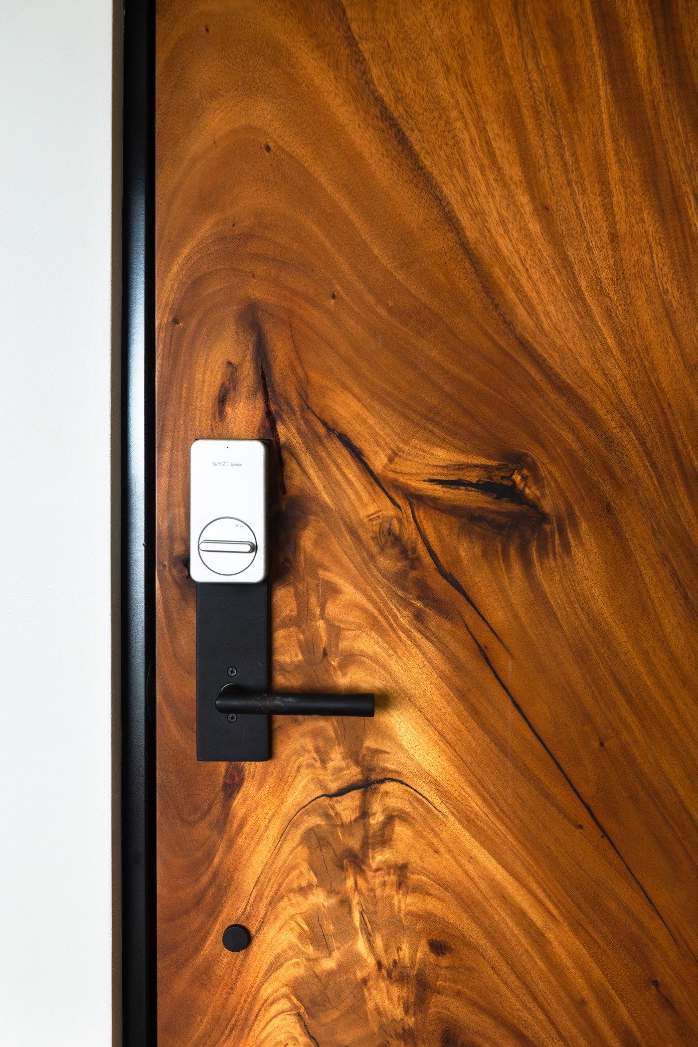 Sarapiquí door seen from inside — the curved live edge meeting steel and glass